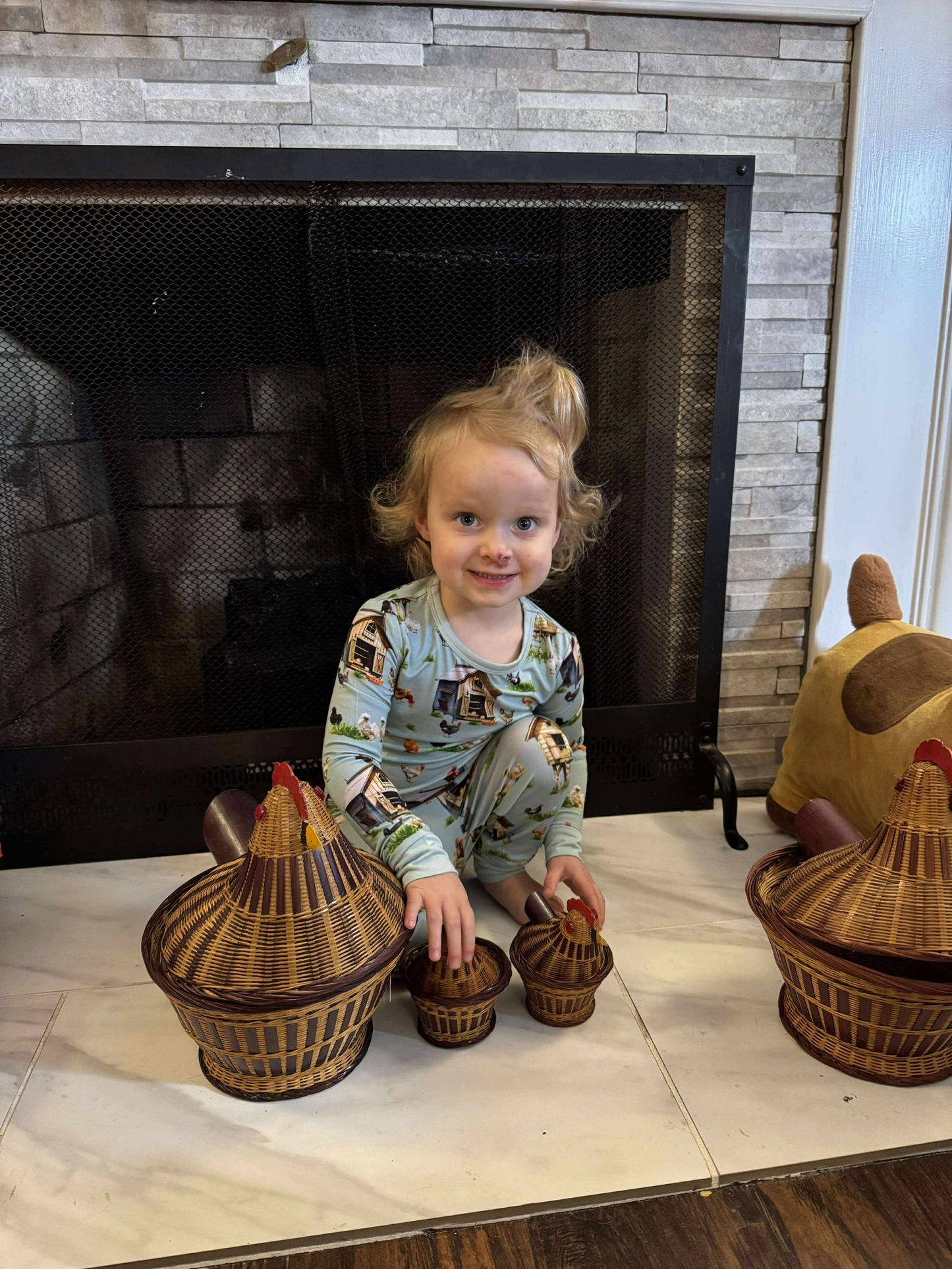 Cluckin Cozy 2 Piece Pajama Set