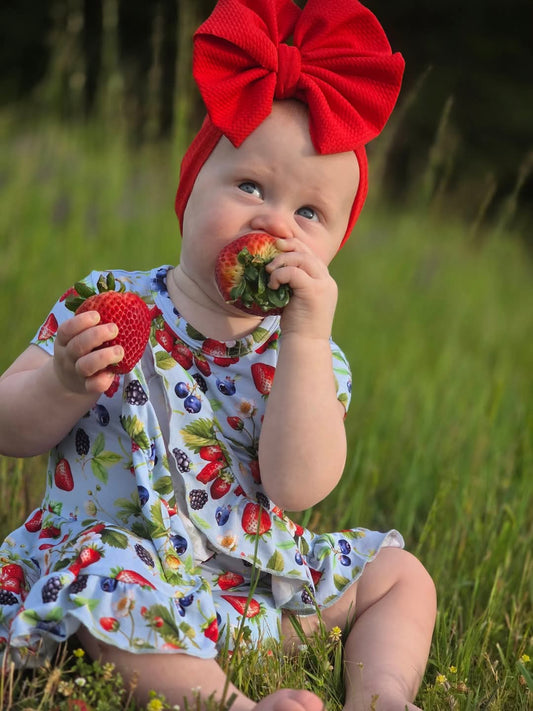 Berry Delight Short Sleeve Twirl Dress with Bodysuit