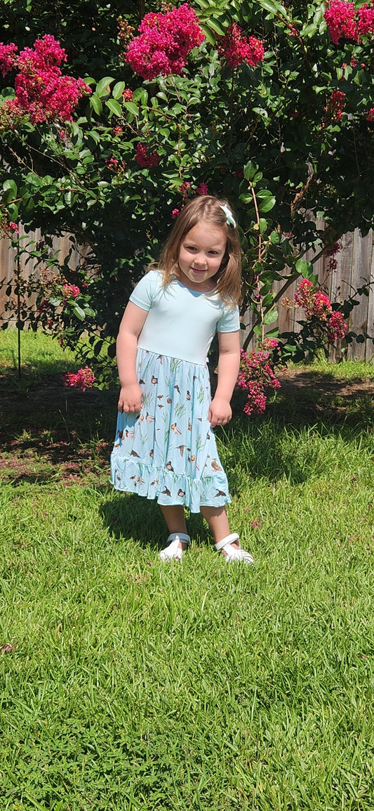 We Flock Together Twirl Dress with Pockets & Shorts Set