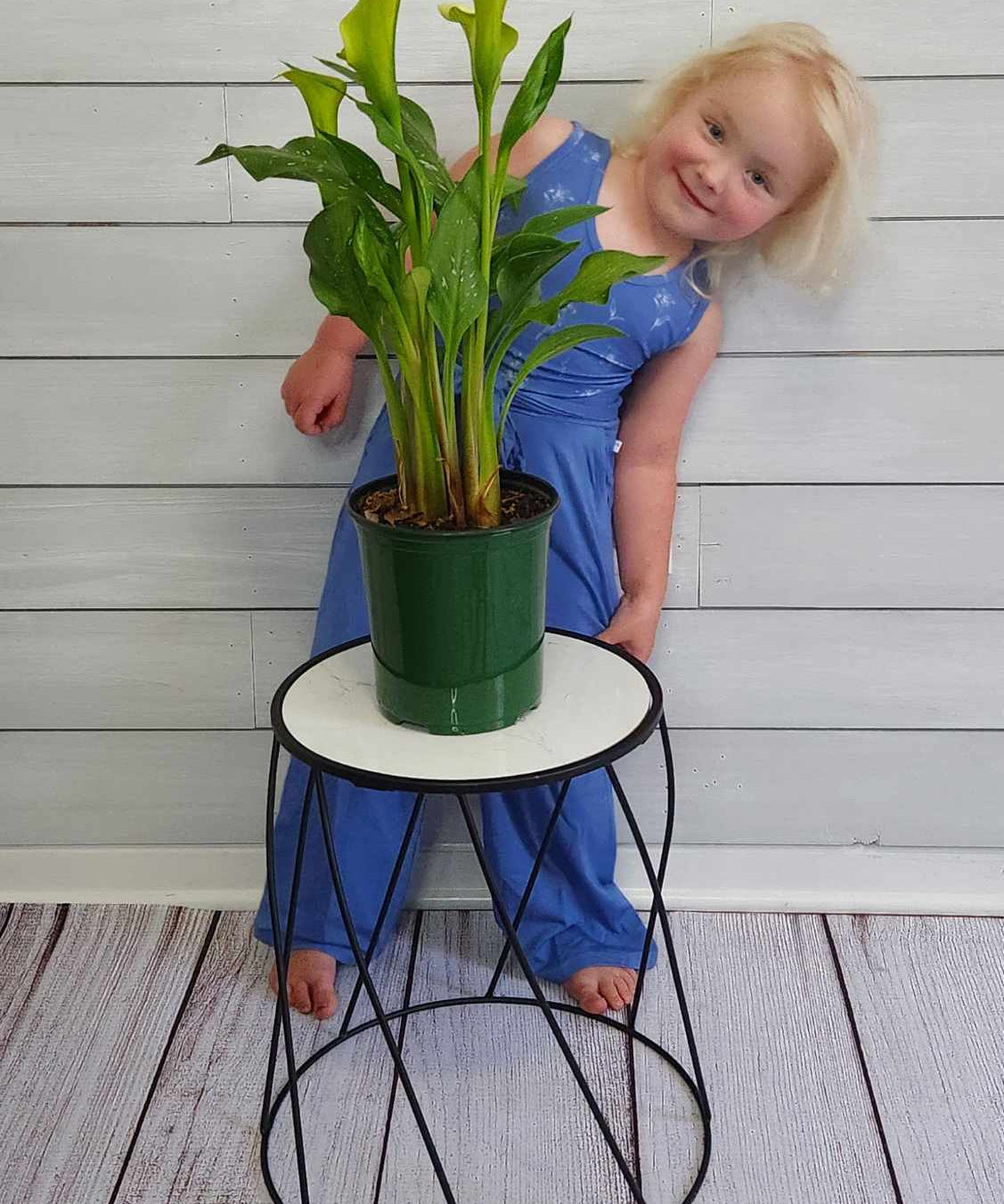 Serenity Lilies Wide Leg Jumpsuit