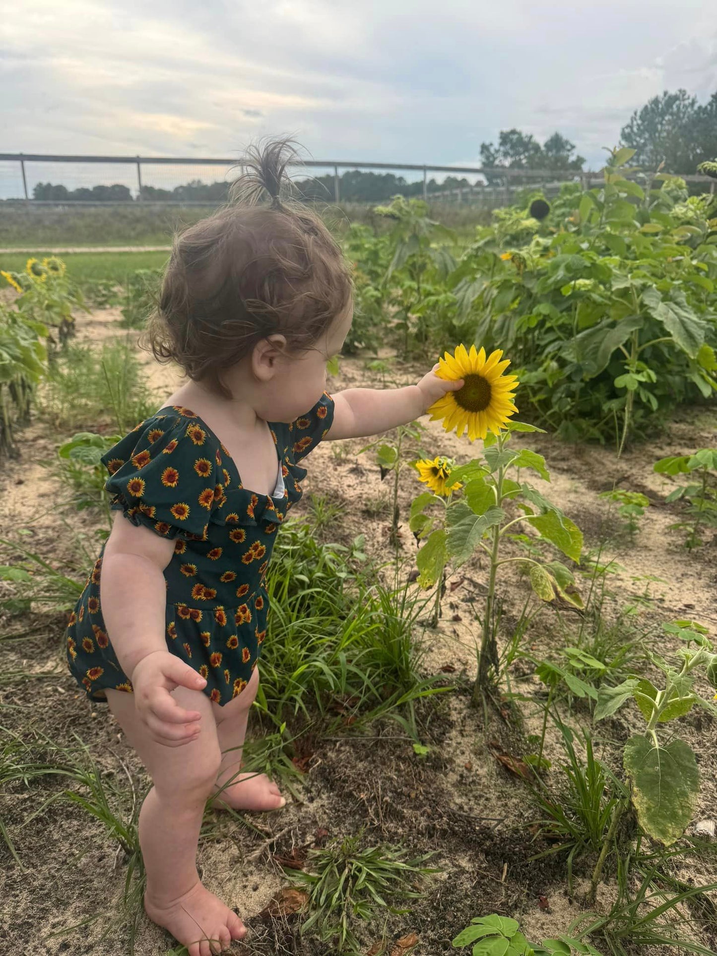 Sunflower Field Bubble Romper