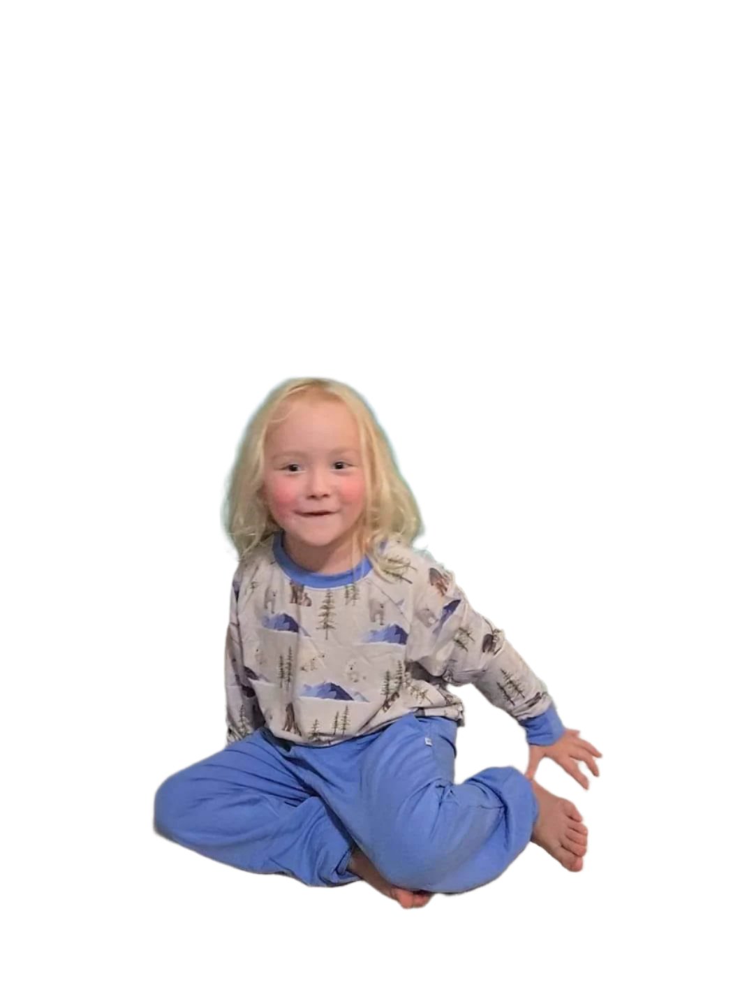 Slide image