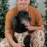 Gingerbread Lane Pet Shirt
