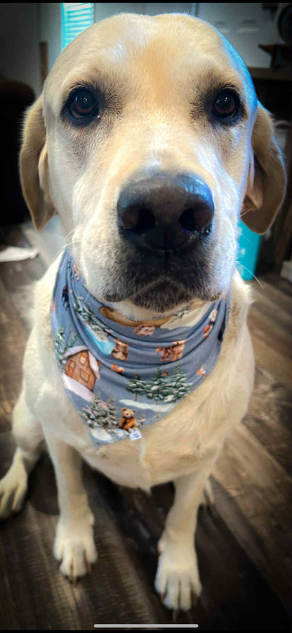 Winter Woodland Pet Bandana