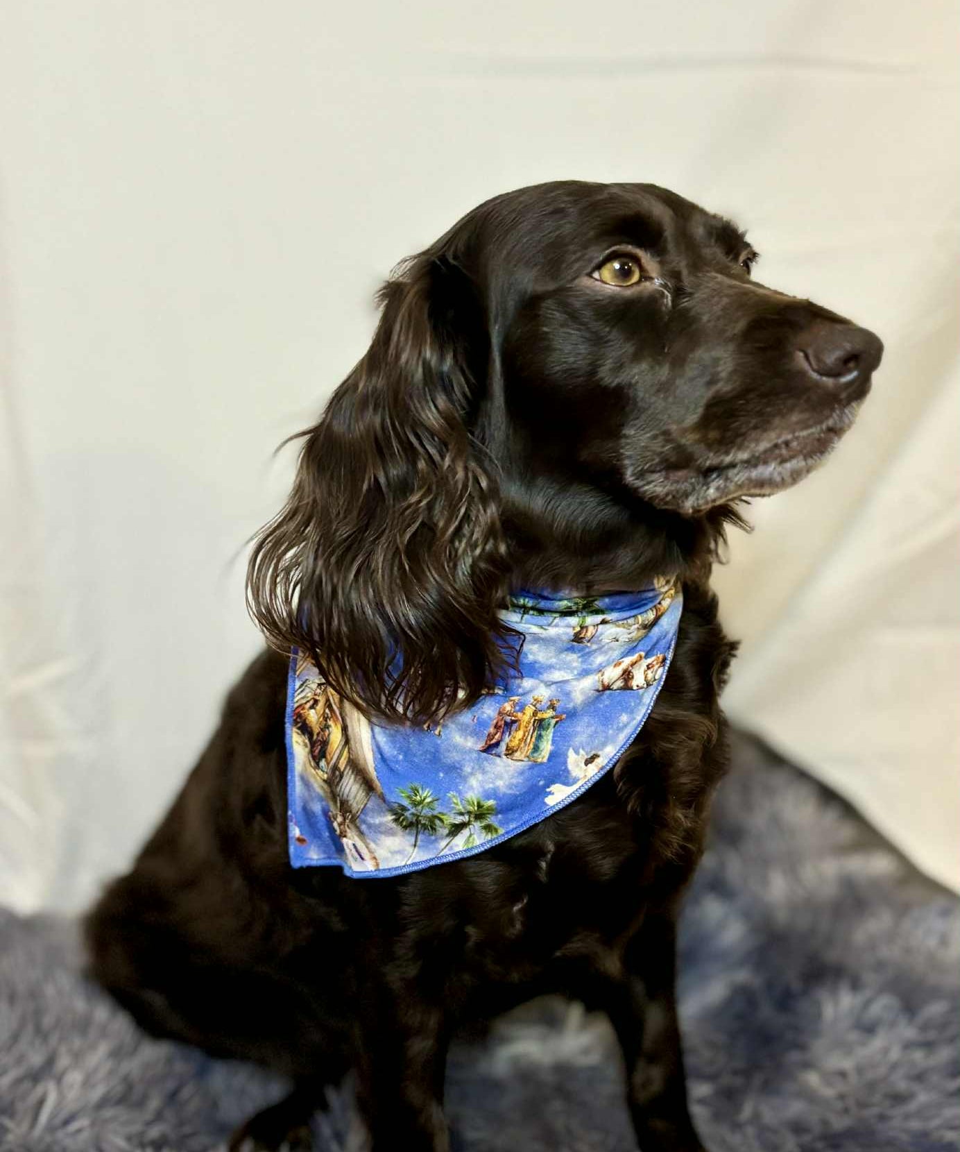 The Greatest Gift Pet Bandana