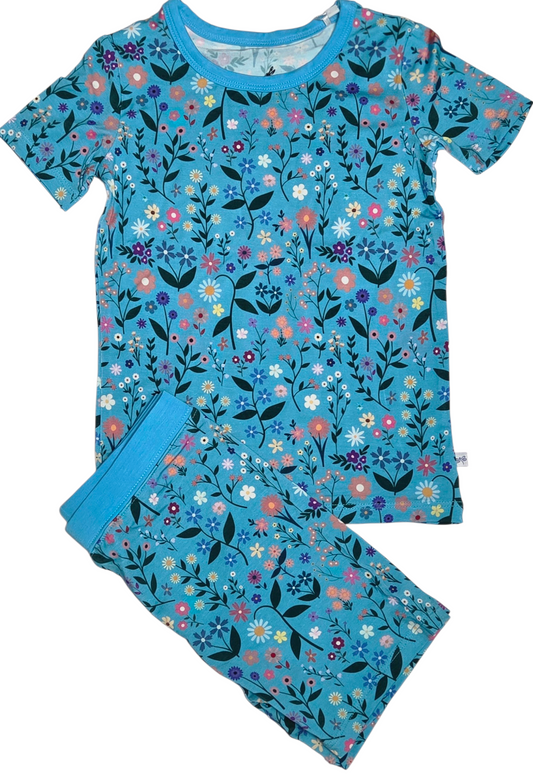 Wildflower Dreams 2 Piece Short Sleeve and Shorts Pajama Set