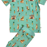 Bunny Tails and Carrot Trails 2 Piece Pajama Set