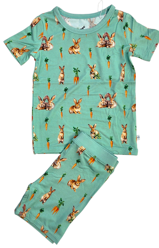 Bunny Tails and Carrot Trails 2 Piece Pajama Set