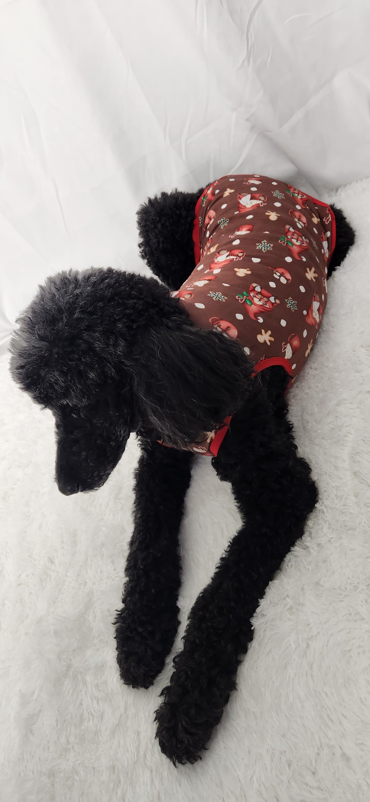 Ill Be Gnome For Christmas Pet Shirt