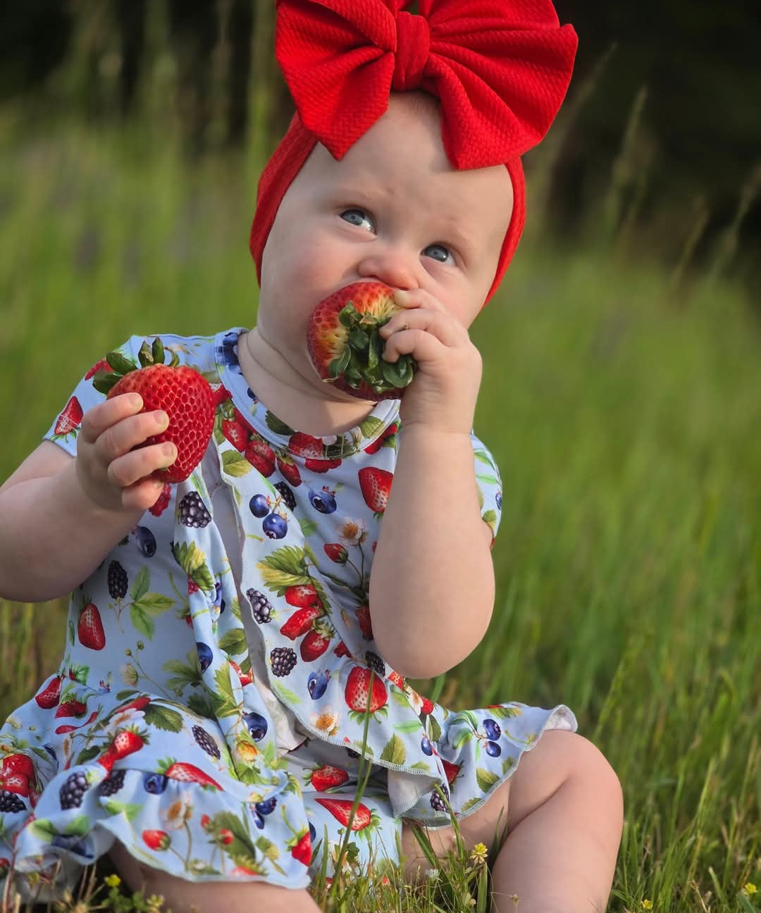 Berry Delight Short Sleeve Twirl Dress with Bodysuit