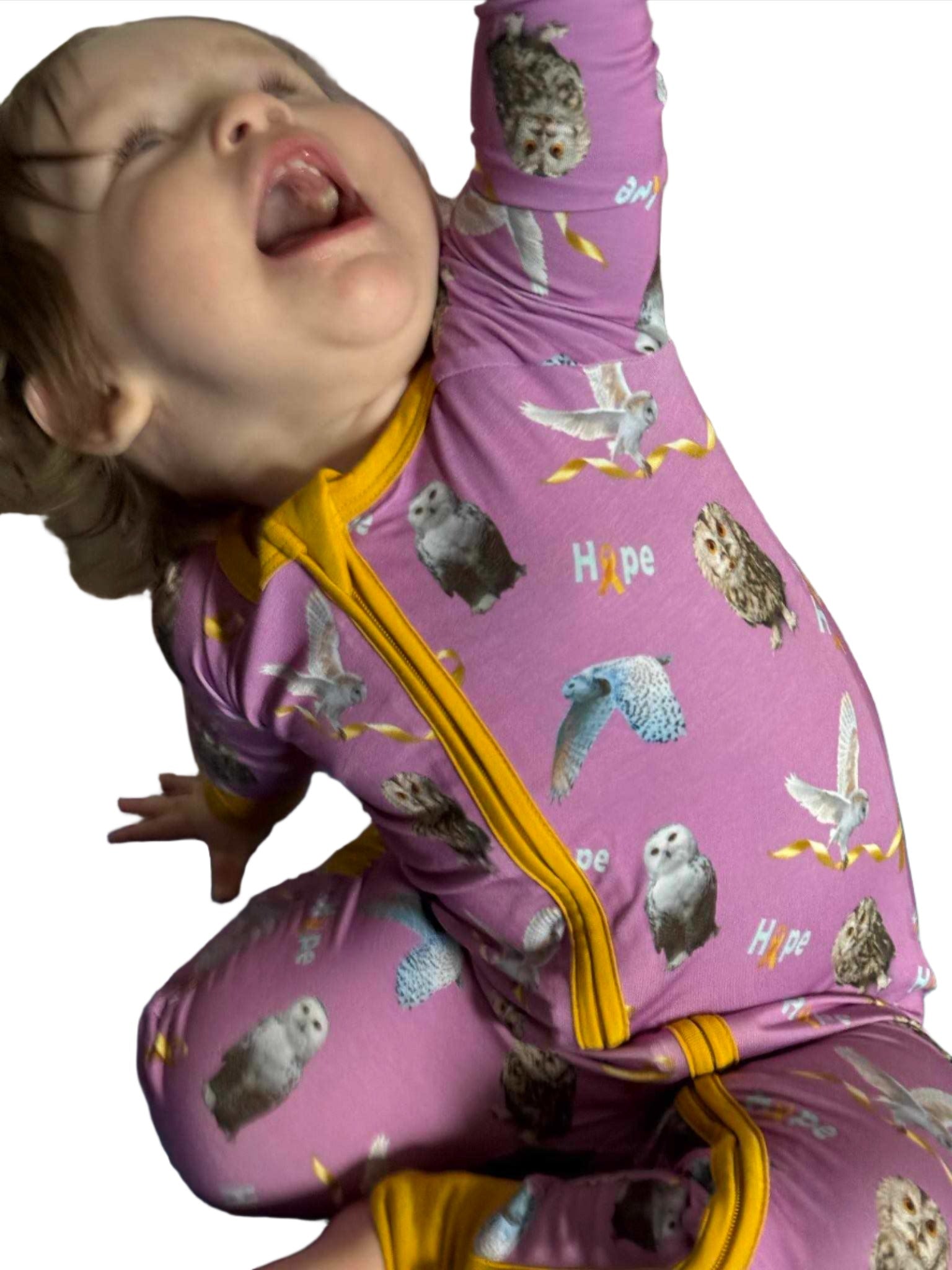Slide image