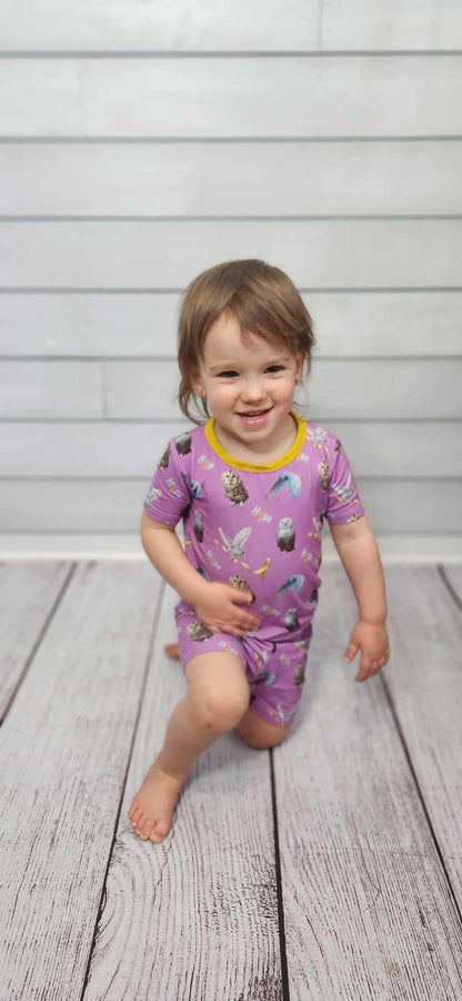 Wings Of Hope 2 Piece Short Sleeve and Shorts Pajama Set